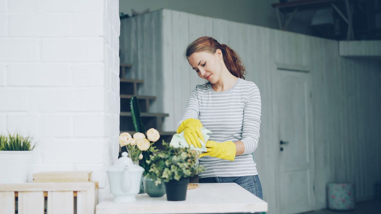 Spring Cleaning the Whole House, One Room a Day